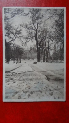 CP anii 50 - Bucuresti - In parcul Cismigiu foto