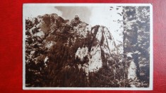 CP anii 50 - Bucegi - Bucsoiul foto