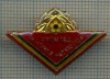 861 INSIGNA - PIONIERiI -FRUNTAS IN MUNCA PATRIOTICA -starea care se vede