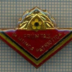 861 INSIGNA - PIONIERiI -FRUNTAS IN MUNCA PATRIOTICA -starea care se vede