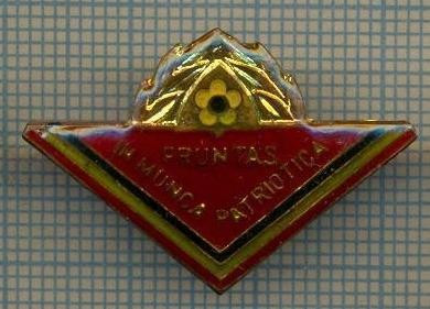 861 INSIGNA - PIONIERiI -FRUNTAS IN MUNCA PATRIOTICA -starea care se vede