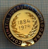 869 INSIGNA - COMBINATUL SIDERURGIC HUNEDOARA 1884-1974- starea care se vede