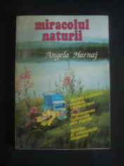 ANGELA HARNAJ - MIRACOLUL NATURII * RETETE CULINARE PENTRU VEGETARIENI * TRATAMENTE NATURISTE DIN PLANTE * MIEREA SI PRODUSELE STUPULUI foto