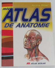 MIC ATLAS DE ANATOMIE (atlas scolar) - Aurora Mihail foto