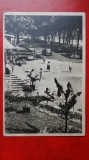 CP anii 50 - Calimanesti - Parcul nr 318