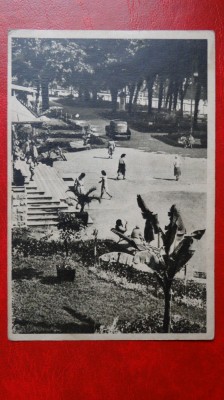 CP anii 50 - Calimanesti - Parcul nr 318 foto
