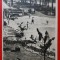 CP anii 50 - Calimanesti - Parcul nr 318