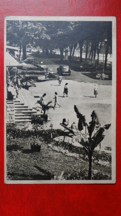 CP anii 50 - Calimanesti - Parcul nr 318