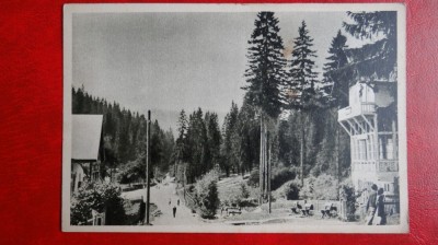 CP anii 50 - Borsec - Spre Izvoare foto