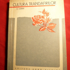 E.Luban - Cultura Trandafirilor - Ed. Agro-Silvica 1967