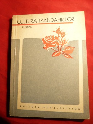 E.Luban - Cultura Trandafirilor - Ed. Agro-Silvica 1967 foto