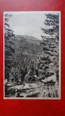 CP anii 50 - Paltinis vedere - 77 foto