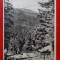 CP anii 50 - Paltinis vedere - 77
