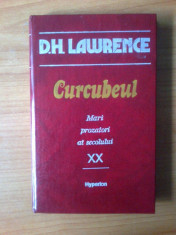 k2 D. H. Lawrence - Curcubeul (copeti cartonate) foto