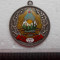 Medalie a V-a Aniversare a Republicii Populare Romane