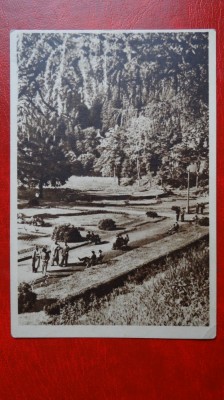 CP anii 50 - Slanic Moldova - Vedere din parc nr 862 foto