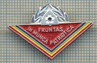 913 INSIGNA -FRUNTAS IN MUNCA PATRIOTICA-pionieri -anii&amp;#039;80,cand mai aveau putin si le faceau din hartie,de atata economie disperata-starea ce se vede foto