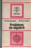 Cezar Cosnita, Fanica Turtoiu - Probleme de algebra