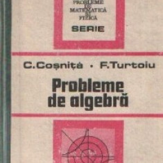 Cezar Cosnita, Fanica Turtoiu - Probleme de algebra