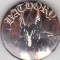 Insigna Baclord