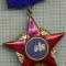 965 INSIGNA - FRUNTAS IN INTRECEREA SOCIALISTA -1963 -starea ce se vede