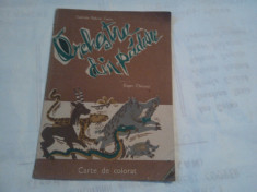 GABRIELA RALUCA CEICU - ORCHESTRA DIN PADURE ~ Carte de colorat foto