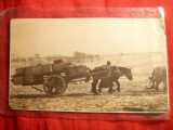 Fotografie China - Atelaj transportand cutii -inc.sec. XX , 13,4 x 8 cm