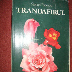 Trandafirul - Stelian Popescu