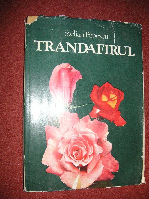 Trandafirul - Stelian Popescu