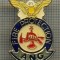 1007 INSIGNA POMPIERI - FIRE PROTECTION ANG(AIR NATIONAL GUARD)-CALIFORNIA -STATELE UNITE ALE AMERICII -starea ce se vede.