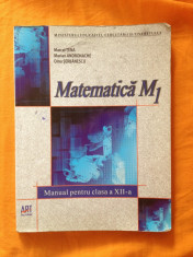 pachet matematica:manual matematica editura art clasa a 12a+ culegere editura carminis foto