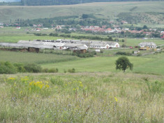 Ferma ecologica langa Bistrita 4 grajduri/fost CAP cu 30 hectare teren agricol concesionat pe 38 ani / 10 vaci / silozuri / fanare / bazin apa /cantar foto