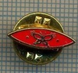 1067 INSIGNA - pescar -simbolizeaza momeala, un fluture -Norvegia ? -starea ce se vede.
