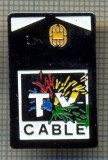 1024 INSIGNA TELEVIZIUNE - CABLE TV -starea ce se vede.