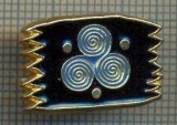 1111 INSIGNA - SIMBOL FIRMA ? -starea ce se vede.