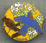 1085 INSIGNA -BLUEBIRD - PASARI -vanatoreasca ? -starea ce se vede.