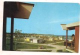 #carte postala(ilustrata)-COSTINESTI-vedere