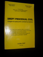 Drept procesual civil/culegere de spete pentru seminarii si examene-VIOREL MIHAI CIOBANU,GABRIEL BOROI,ADRIANA GASPAR,ION DRAGNE,TRAIAN BRICIU foto