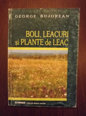 BOLI, LEACURI SI PLANTE DE LEAC - GEORGE BUJOREAN foto