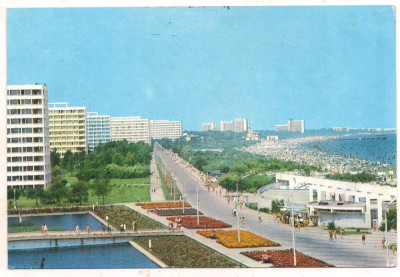 #carte postala(ilustrata)-MAMAIA foto