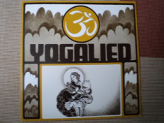 Kirtangroep yogalied muzica ambientala meditatie india yoga sitar disc vinyl lp foto