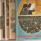 (C5099) MAGAZIN ISTORIC ANULXI, 1977, NR. 1-12, AN COMPLET, 12 NUMERE