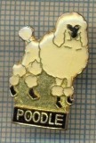 1209 INSIGNA - POODLE -CATELUS -PENTRU IUBITORII DE ANIMALE -starea care se vede.
