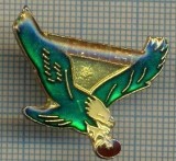 1201 INSIGNA - EAGLES -SIMBOL DE FIRMA ? -starea ce se vede.