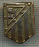 1244 INSIGNA - FOTBAL -starea care se vede.