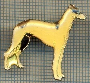 1212 INSIGNA -CAINE -PENTRU IUBITORII DE ANIMALE -starea care se vede. foto