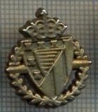 1246 INSIGNA - FOTBAL -starea care se vede.