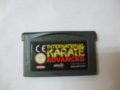 International Karate Advanced (GBA) (Game Boy Advance) (ALVio) foto