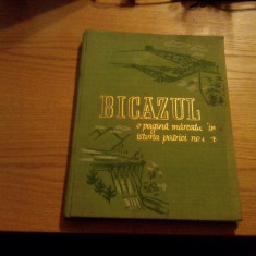 BICAZUL - O Pagina Mareata din Istoria Patriei Noastre - Vol. I - Album, 1959