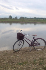 bicicleta oras dama-Creme Caferacer Solo Lady,3 speed foto